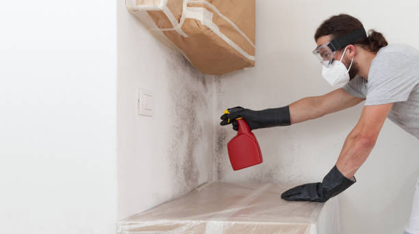 Professional Attic Mold Removal technician working in Dunn, NC
