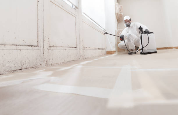 24/7 Emergency Attic Mold Removal experts in Dunn, NC