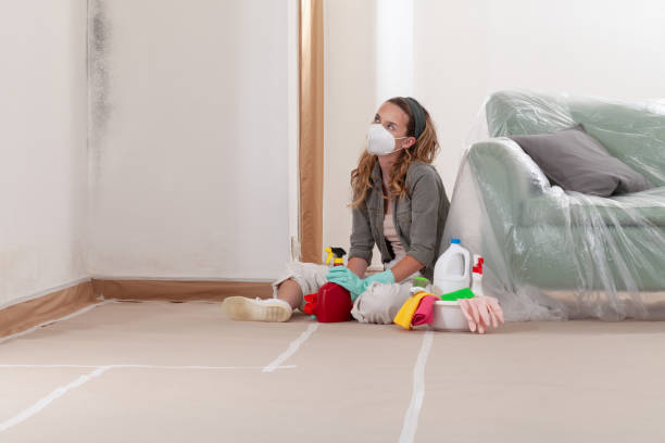 Trusted Black Mold Removal service in Dunn, NC - Cheap Mold Removal